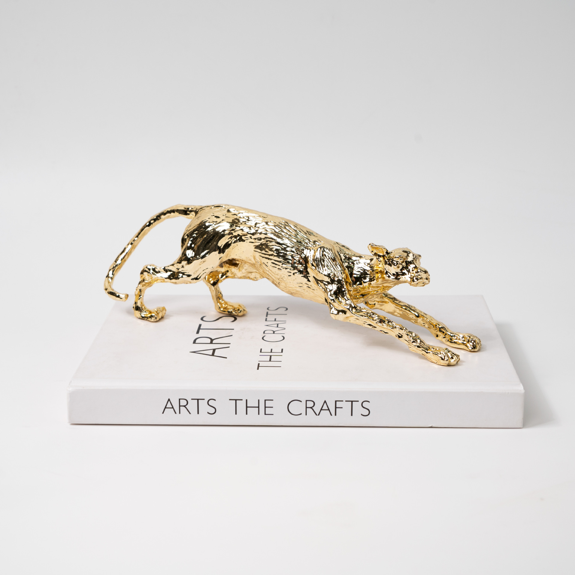 Gold Leopard Posture