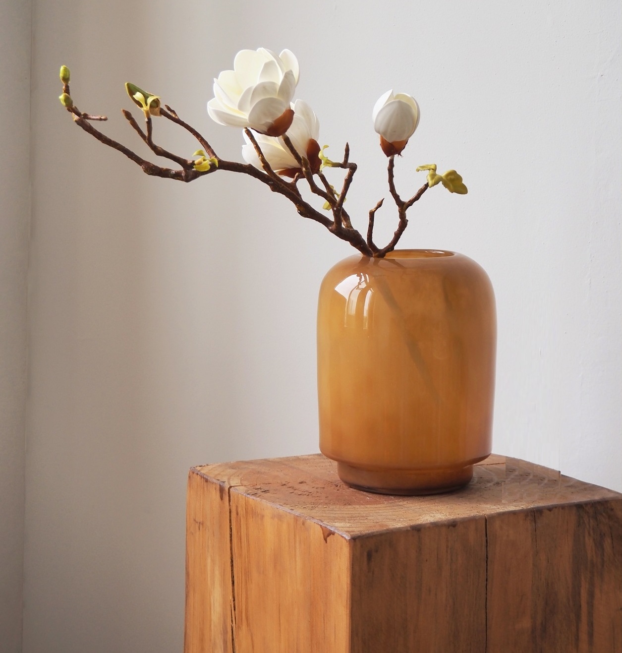 Homy Style Glass Vase